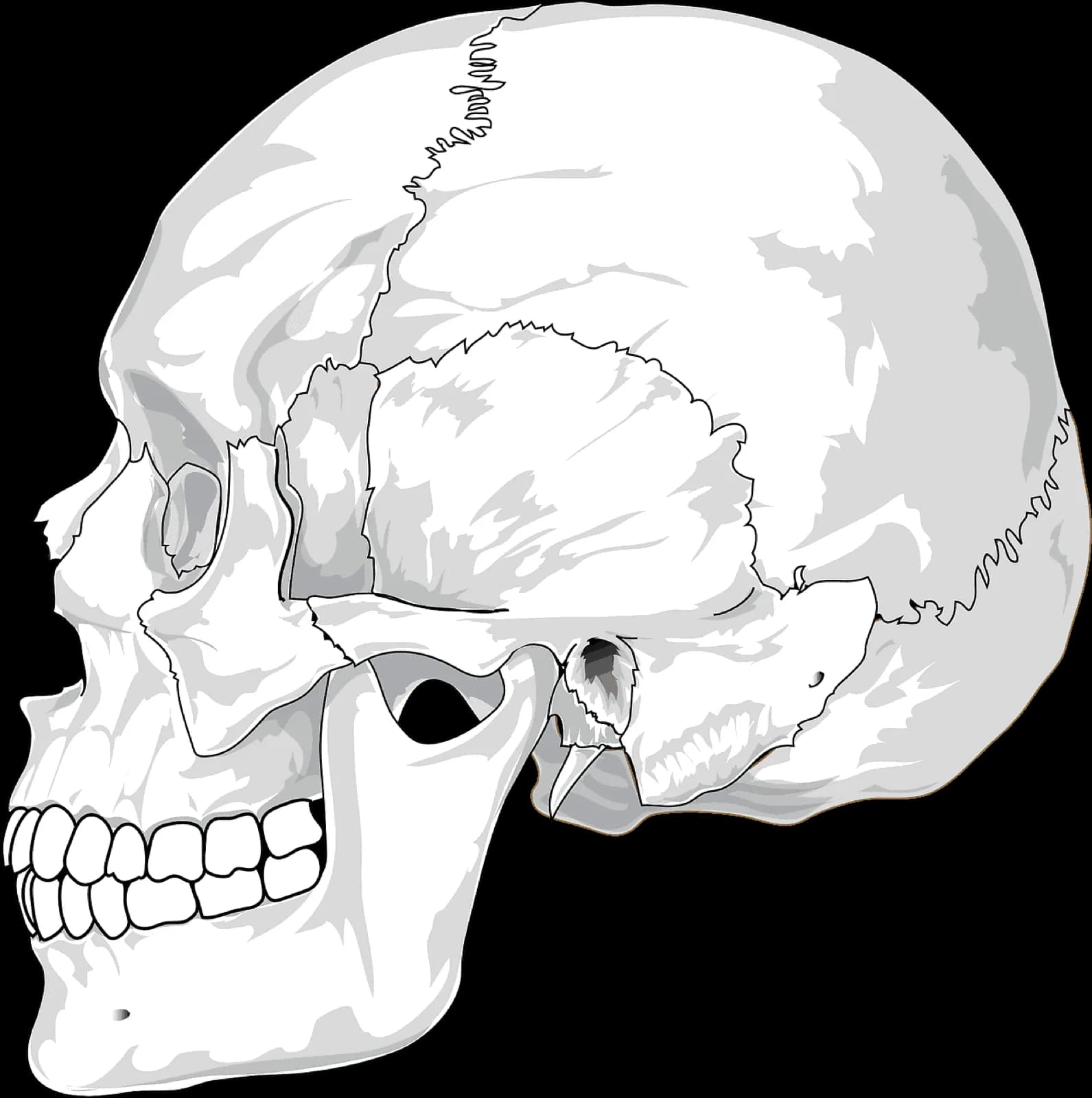 Chiropractic Care for TMJ Dysfunction