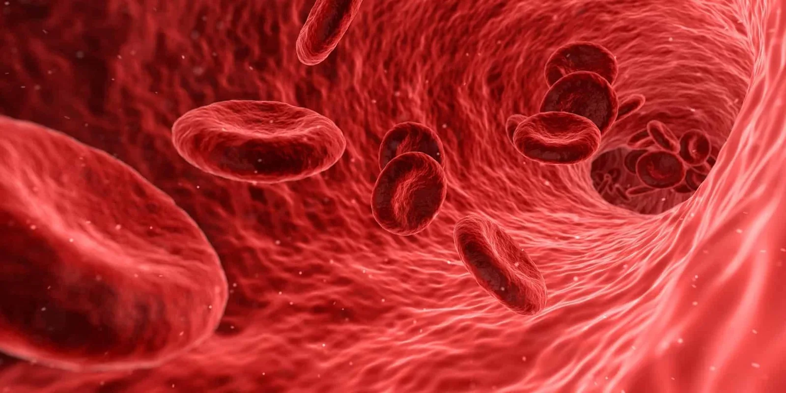 Chiropractic Care and Your Immune System