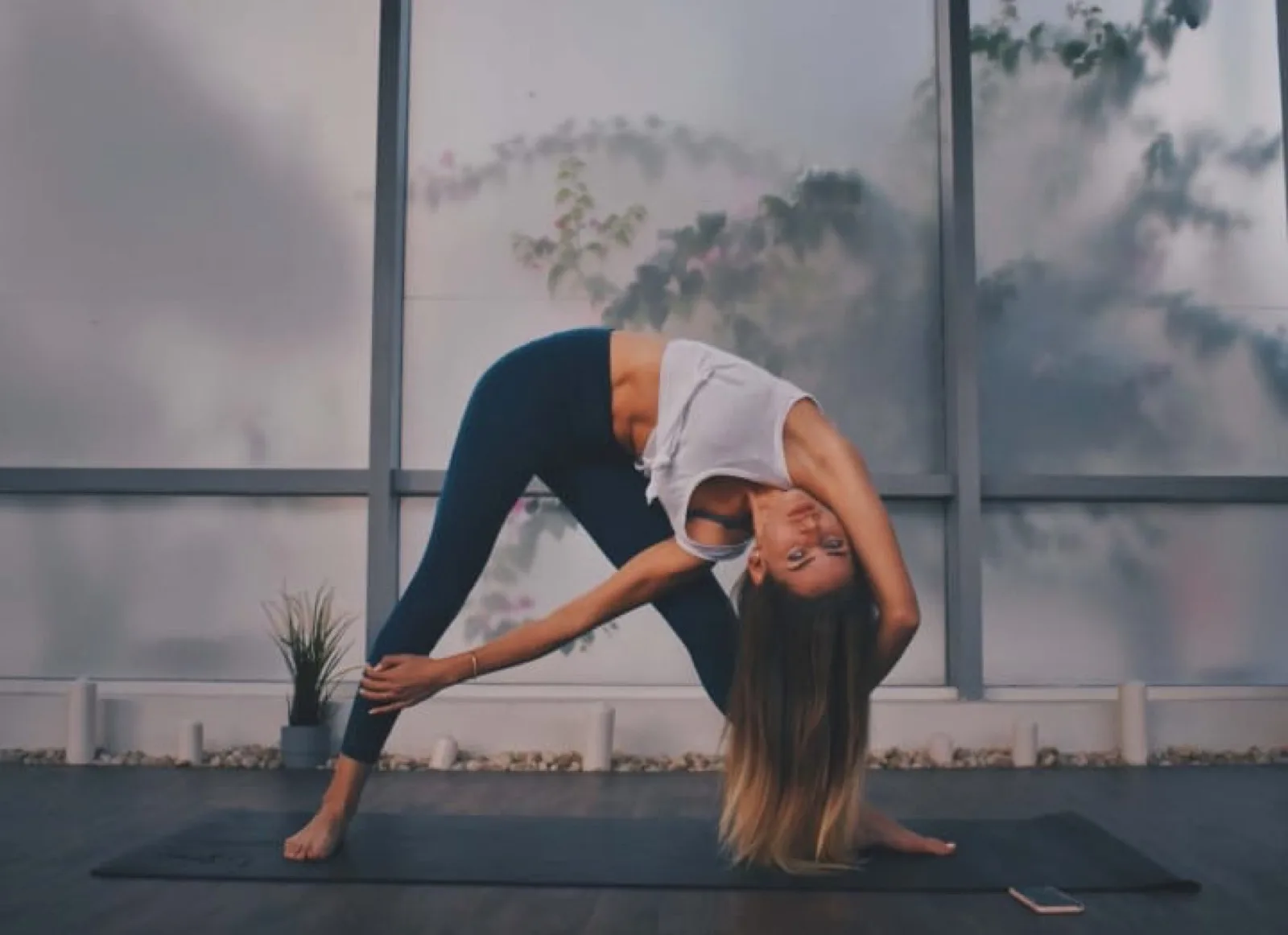 What Is Vertebral Subluxation Complex?